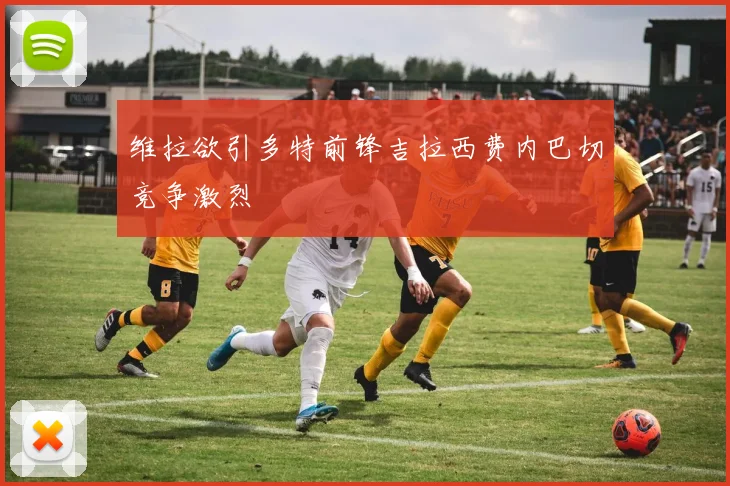 维拉欲引多特前锋吉拉西费内巴切竞争激烈