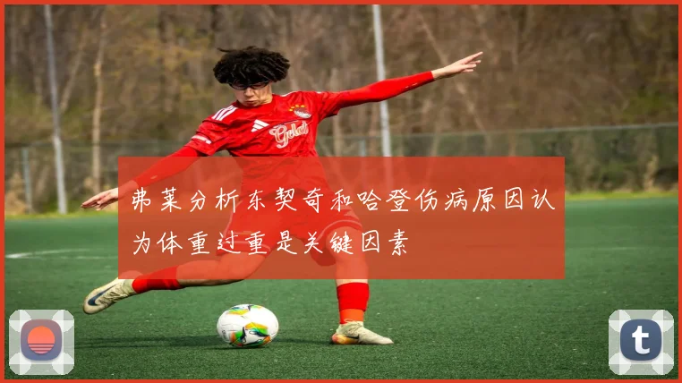 弗莱分析东契奇和哈登伤病原因认为体重过重是关键因素